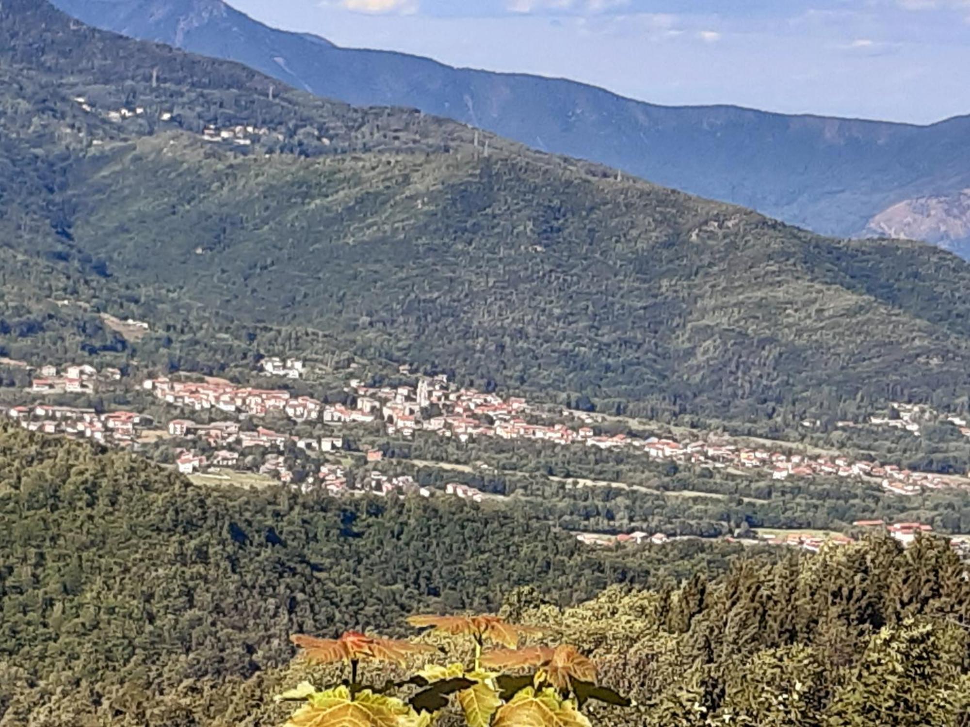 Grazioso Bilocale Merlino, Luminoso Con Vista Santuario, Wifi Giaveno Bagian luar foto